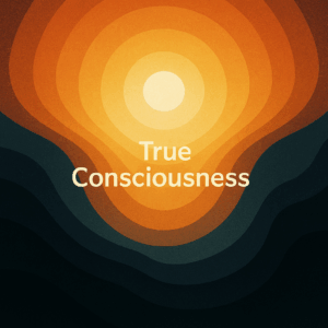 how can silence reveal true consciousness