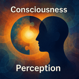 how does consciousness shape our perception of reality